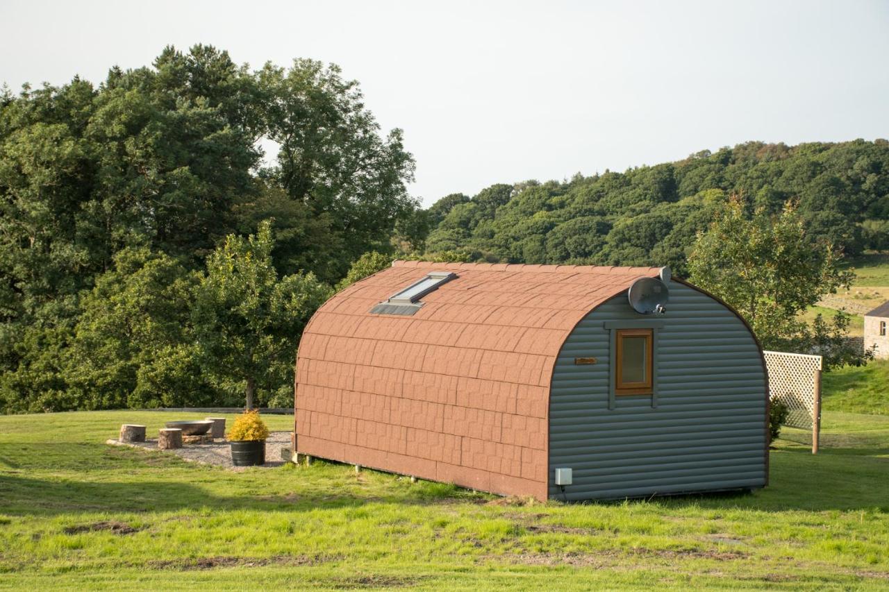 ヘクサム Wild Northumberland Glampingヴィラ エクステリア 写真