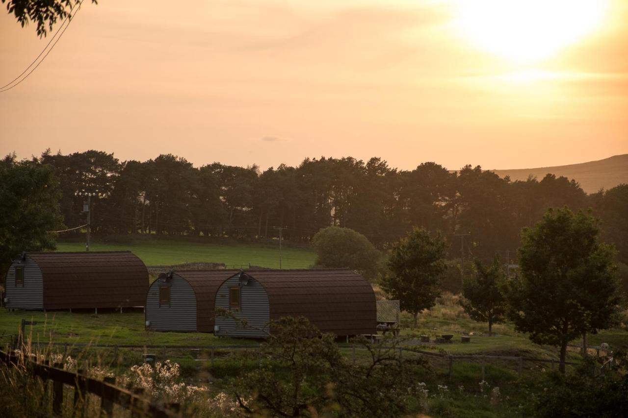 ヘクサム Wild Northumberland Glampingヴィラ エクステリア 写真