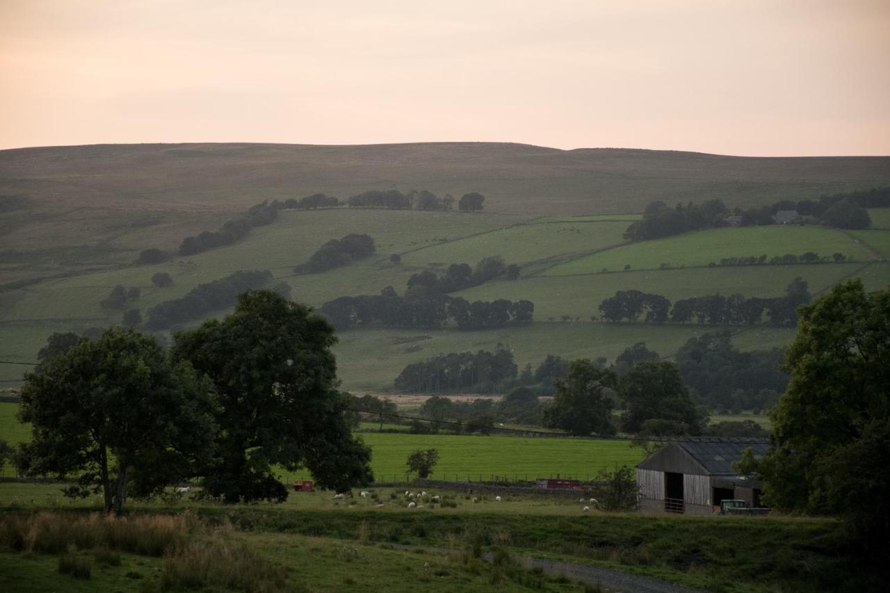 ヘクサム Wild Northumberland Glampingヴィラ エクステリア 写真